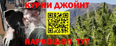 прущие грибы Краснодар