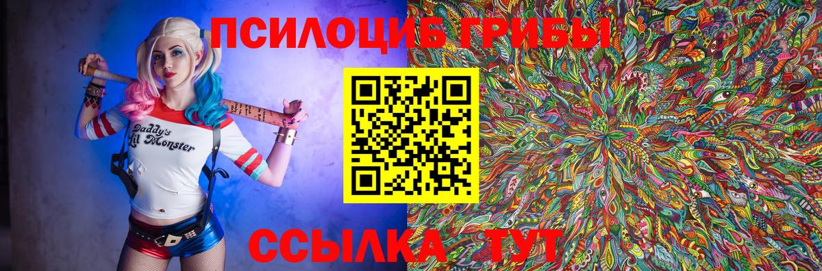 Димитровград  Галлюциногенные грибы мухоморы  Вход с VPN 