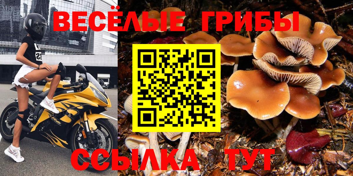 Псилоцибиновые грибы MAGIC MUSHROOMS Димитровград
